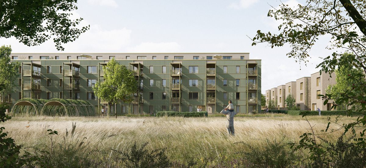Neue Gartenstadt 5